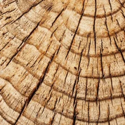 Indoor/Outdoor Faux Concrete Stump Accent Table Brown - Threshold™ Designed With Studio McGee -Beauty House GUEST 03deabfd 2b62 4725 94b4 09a321ea8678