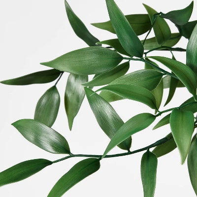 Shady Lady Tree In Ceramic Pot - Threshold™ Designed With Studio McGee 2 Shady Lady Tree In Ceramic Pot - Threshold™ Designed With Studio McGee - Image 2