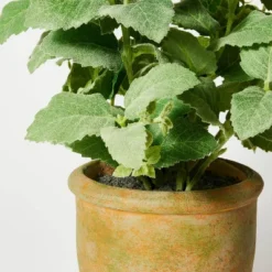 Artificial Potted Mint Leaf - Threshold™ Designed With Studio McGee -Beauty House GUEST 19a08200 78b7 461e bcd9 c962450d4305