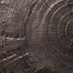 Grantsville Drum Accent Table Black - Threshold™ Designed With Studio McGee -Beauty House GUEST 2a48e59f 9a1e 4d95 a641 6710dbd36ebe