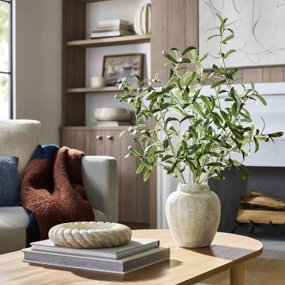 Olive Leaf Potted Arrangement - Threshold™ Designed With Studio McGee 1 Olive Leaf Potted Arrangement - Threshold™ Designed With Studio McGee