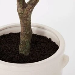 76.5"x 30" Artificial Olive Tree In Ceramic Pot - Threshold™ Designed With Studio McGee -Beauty House GUEST 5f1c0b63 d965 4bfb 9559 6084dae15f92