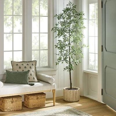 Shady Lady Tree In Ceramic Pot - Threshold™ Designed With Studio McGee 1 Shady Lady Tree In Ceramic Pot - Threshold™ Designed With Studio McGee