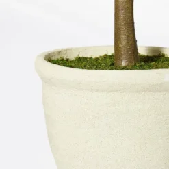 Ficus Tree - Threshold™ Designed With Studio McGee 5 Ficus Tree - Threshold™ Designed With Studio McGee -Beauty House GUEST b527c49c 40e7 4f4d 8026 e60817b7e327