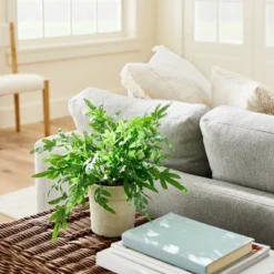 Medium Ribbon Fern Leaf In Pot - Threshold™ Designed With Studio McGee