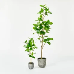 Banyan Leaf Potted Tree - Threshold™ Designed With Studio McGee -Beauty House GUEST e0836b00 df5f 43ba bf4c e16aa35005ea